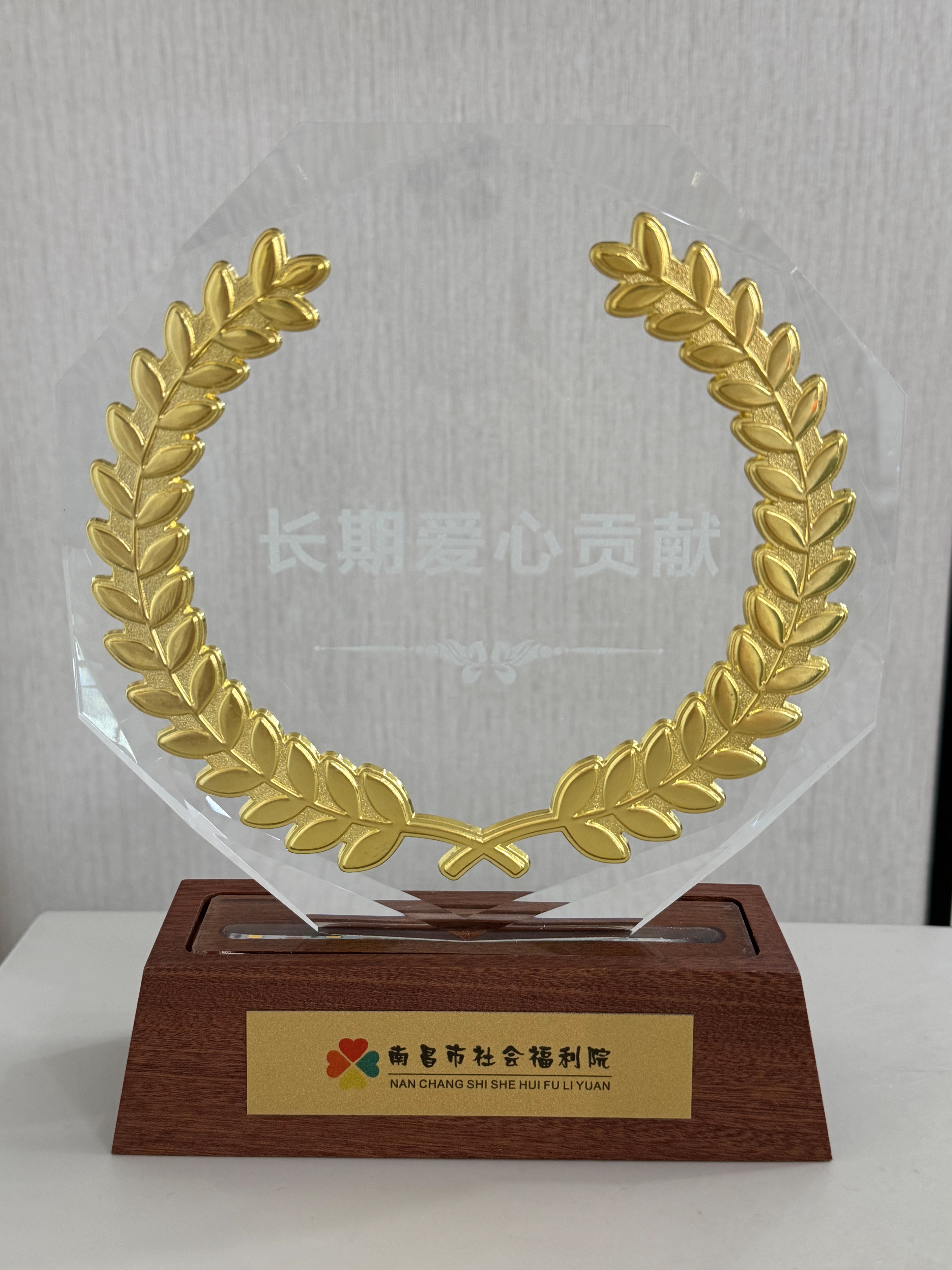 南昌市社会福利院-长期爱心贡献 南昌市社会福利院-长期爱心贡献.jpg